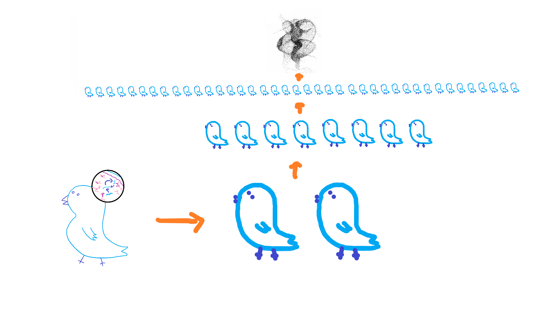 bird murmuration once at scale