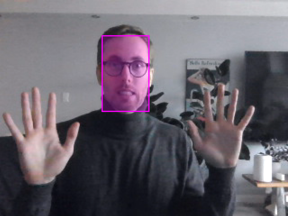 Person detected by Fluffy's camera